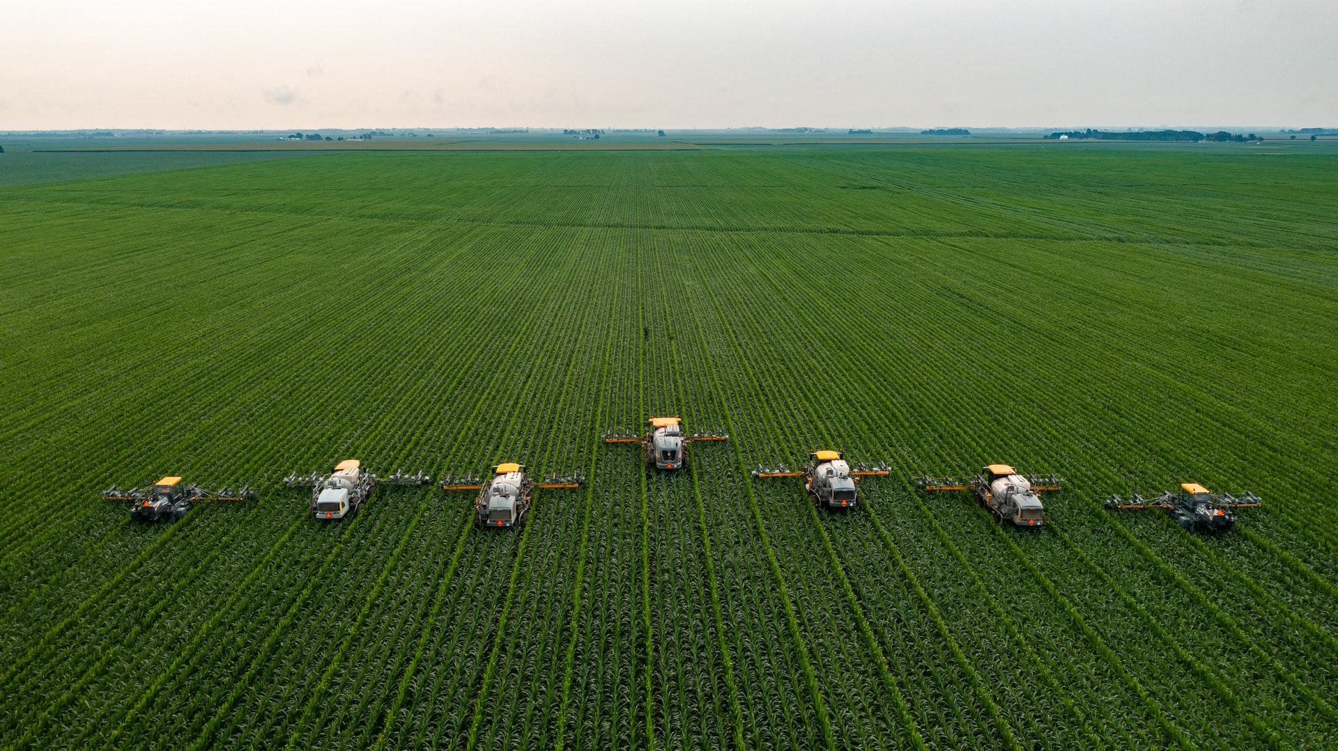 Crop sprayers moving across a large field